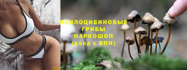 амф Алексин