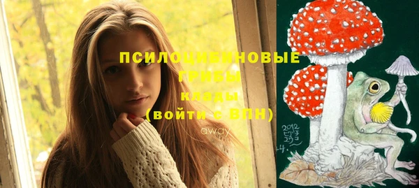 круглые Алексеевка