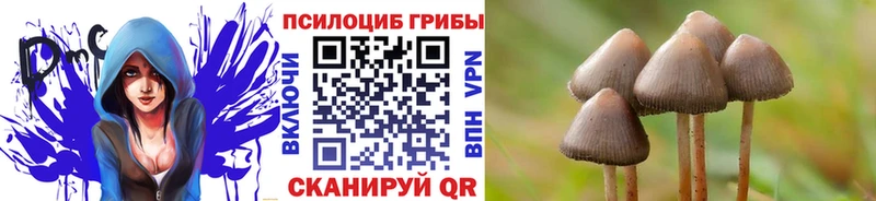 Псилоцибиновые грибы мухоморы  Спас-Клепики 